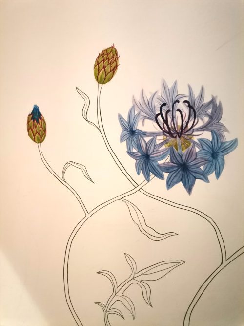 IMG 20240531 095513